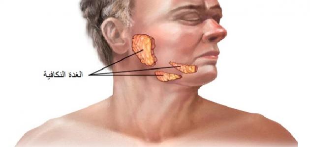 وظيفة الغدة النكافية