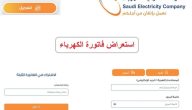 الاستعلام عن فاتورة الكهرباء السعودية برقم العداد