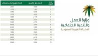 الحد المانع للضمان الاجتماعي المطور بعد التعديلات الجديدة 1444