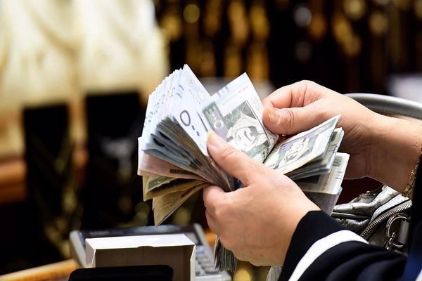 الاستعلام عن المساعدة المقطوعة برقم الضمان 1444