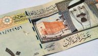 سعر الريال السعودي مقابل الجنيه المصري