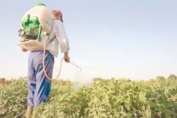 تصريح تنقل وزارة الزراعة