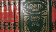 نبذة عن كتاب خزانة الأدب وغاية الأرب