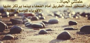 خواطر مبعثرة عن الحياة