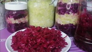 كيف يتم تخمير مخلل الملفوف؟