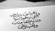 نص شعري عن حب الوطن