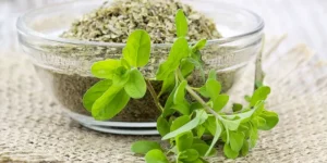 طريقة شرب البردقوش لتنظيم الهرمونات