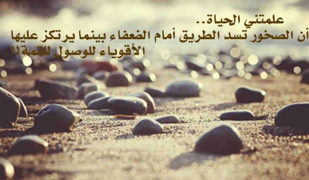 مقولات و حكم عن الحياة