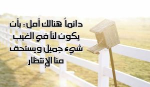 من أجمل الحكم عن الحياة؟