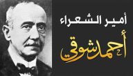 السيرة الذاتية للشاعر احمد شوقي