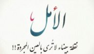 مقولات حكم عن الحياة والامل