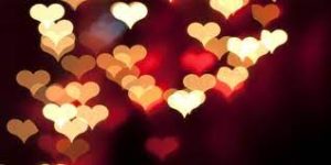 شعر عن لقاء الأحبة