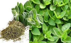 متى اشرب البردقوش لتنظيم الهرمونات