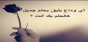 كلام عن فراق الحبيب بدون سبب