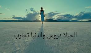 حكم عن فهم الحياة