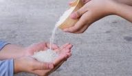 دور الأعمال الخيرية في تعزيز التكافل الاجتماعي خلال رمضان