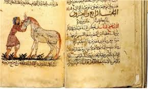 ما هي القيم في الشعر الجاهلي؟