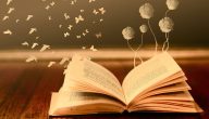 دور اللغة العربية في تعزيز الهوية الثقافية