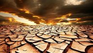 استراتيجيات التكيف مع التصحر في الدول العربية