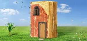 من الروايات الرائدة في الأدب العربي؟