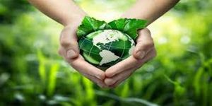 دور الإنسان في المحافظة على البيئة