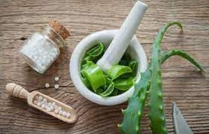 حبوب الصبار للتخسيس