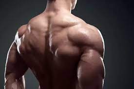 أفضل حبوب تضخيم العضلات في الصيدلية