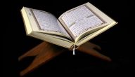 أسئلة عن الأنبياء في القرآن الكريم