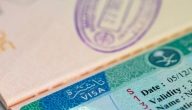 طلب زيارة عائلية للمقيمين السعودية