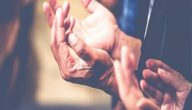 دعاء صلاة التراويح مكتوب السديس