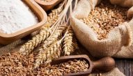 يجوز تأخير زكاة الفطر عن صلاة العيد