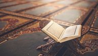 فضل العشر الأواخر من رمضان مختصر