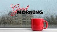 عبارات صباح الخير للحبيب