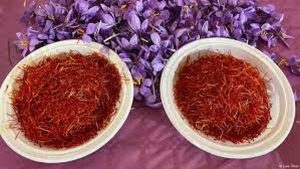 فوائد الزعفران للرجال