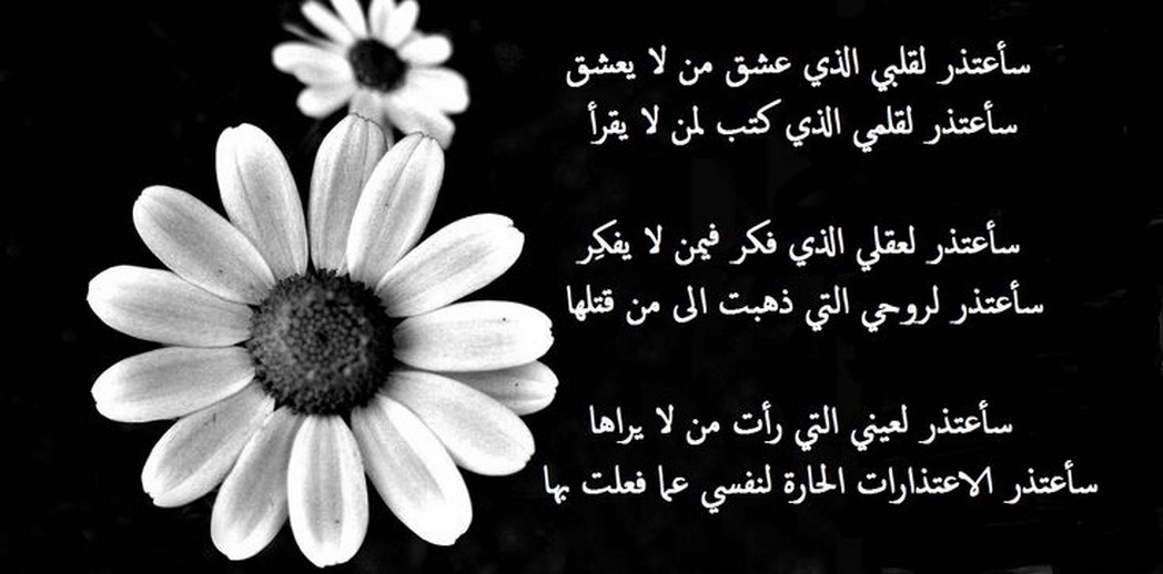 عبارات مواساة للحبيب