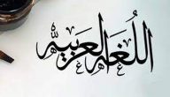 حكم عن اللغة العربية للأطفال