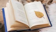 أفضل كتب تعلم الكتابة الأدبية للمبتدئين