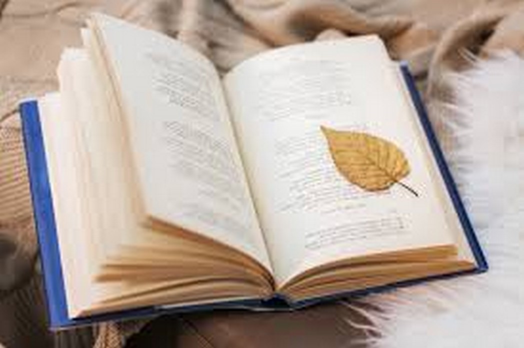 أفضل كتب تعلم الكتابة الأدبية للمبتدئين