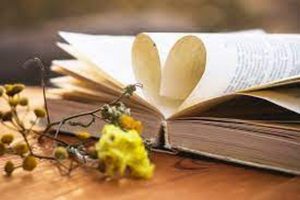 أفضل كتب تعلم الكتابة الأدبية للمبتدئين