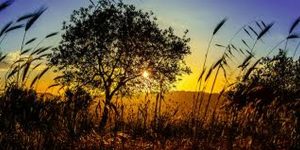 خواطر قصيرة معبرة عن الحياة