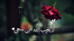 عبارات واتس اب قوية قصيرة
