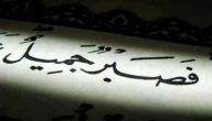 الصبر في القرآن دروس من حياة الأنبياء