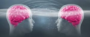 ما هي الوظائف الخمس التي تساعد الدماغ على الاكتشاف؟
