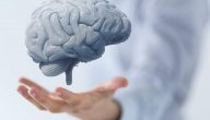 طرق طبيعية لتقوية الذاكرة وزيادة التركيز