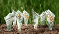 خطوات عملية لبناء دخل سلبي من المنتجات الرقمية