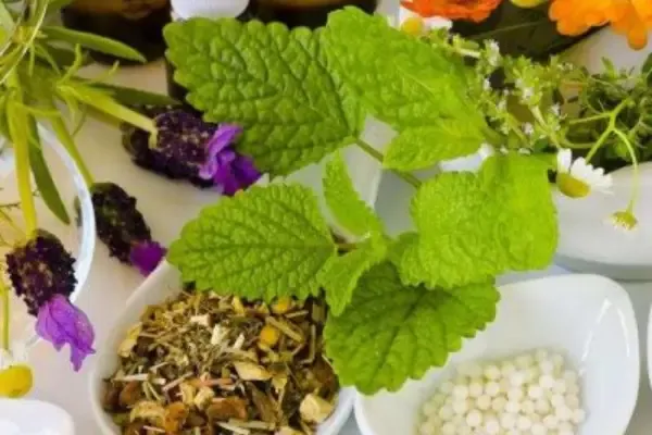 علاج القولون العصبي بالأعشاب الطبيعية مجرب