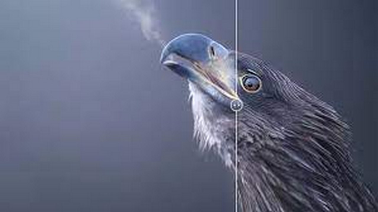 ادوات مجانية لتحسين جودة الصور والفيديوهات