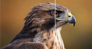 تحسين جودة الصور بالذكاء الاصطناعي مجانًا