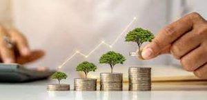 مشروع صغير يدخل ذهب