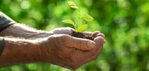 ما هو فضل التصدق في العشر الأواخر من رمضان؟